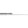 Penn Canne Baitcasting Warfare Light