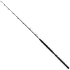 Penn Canne Baitcasting Marine Brigade Trolling