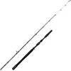 Penn Canne Jigging Marine Brigade Dentex