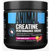 Animal Créatine Ch 120 pie Punch aux fruits Universal Nutrition Creati...