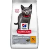 1,5kg Sterilised Kitten poulet Hill's Science Plan - Croquettes pour c...