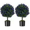 COSTWAY Lot de 2 Arbres de Buis Artificiel Topiaire 55 cm avec Pot en ...