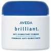 Aveda - Brilliant Anti-Humectant Pomade - Hair Gloss