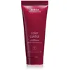 Aveda Aveda Color Control Conditioner Après-Shampoing Protecteur De Couleur 40 Ml