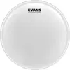 Evans B16UV1 - Peau UV1 sablée, 16 pouces