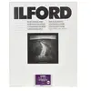 Ilford papier multigrade RC Deluxe perlé 17,8 x 24 cm - 500 feuilles
