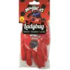 RUBIES FRANCE - Ladybug handschoenen voor kinderen