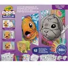 Jeu créatif Crayola Pops 3D Gift Set