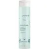 Joico - Innerjoi Hydrate Conditioner - 300ml