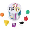 Baby Einstein Boîte à formes Zèbre et Chenille