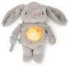 Ingenuity Veilleuse peluche apaisante Sylvi