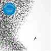 NONESUCH Sky Blue Sky Édition Limitée Vinyle Bleu