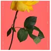 Nonesuch Classique Caroline Shaw : Rectangles And Circumstance