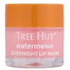 TREE HUT Watermelon Overnight Lip Mask Lipmasker