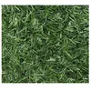 Haie Artificielle Super Deluxe 243 Brins 6 M - 2 Rouleaux 3 X 1,50 M - Jardideco