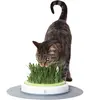 Catit Design Senses Grass Garden Kit - Kattengras - 1
