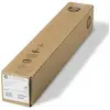 HP C6029C Groot formaat