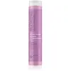 Paul Mitchell Clean Beauty Blonde Shampooing 250 ml