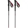 Salomon Bâtons Quest Carbon Foldable