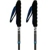 Salomon Bâtons Ultra Carbon Foldable