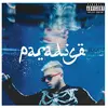 Rec. 118 Paradise