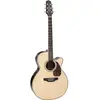 Takamine RNV460C elektrisch-akoestische westerngitaar met soft-case
