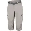 Columbia Silver Ridge 2 Pantacourt Capri Homme