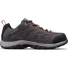 Chaussures Columbia Crestwood waterproof Gris 40