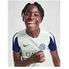 Nike Inter Milan Strike T-Shirt Junior - Grey, Grey 10-12Y