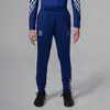 Jordan Paris saint-germain y nk df strk pant kpz 4th in de kleur blauw.