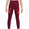 Nike Liverpool FC Strike Sportbroek Kids - Maat 164