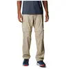 Columbia Silver Ridge Pantalon de randonnée pour homme