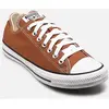 Converse, Femmes, Baskets, Chaussures de sport marron pour femmes, Mar...