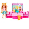 Barbie Familie en Vrienden Club Chelsea - Pop-up Theefeestje