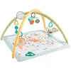 Fisher-Price Fisher-Price Simply Senses Newborn Gym