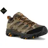 Merrell Moab 3 GTX, Chaussures de Randonnée Homme, Olive, 44 EU