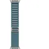 Boucle Alpine Bleu Clair 49 mm - Grand - Finition Titane Naturel