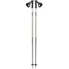 Salomon Bâton de ski Polar Prime Ergo S3 Bronze Metallic 115