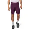 Pearl Izumi Cuissard Sans Bretelles Expedition