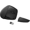 Ergonomic Optical Mouse HP 925 Black