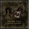 Insideoutmusic Jethro Tull : Curious Ruminant - Lp