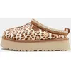 UGG Tazz II Femme - Marron, Marron 40