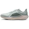 Chaussures de running Nike Pegasus 41 GORE-TEX Bleu 44,5