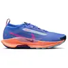 Nike Pegasus Trail 5 Gore-Tex 40.5