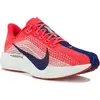 Nike Pegasus Plus 41