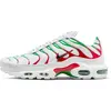 Baskets Nike Air Max Plus TN Italy - DM0032-108_41