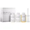 OLAPLEX Hair Perfector