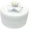 3 filtres à charbon pour la fontaine à eau Pioneer Pet Magnolia pour c...