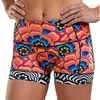 Zoot Shorts De Triathlon Ltd 4 ´´