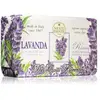 Nesti Dante Dei Colli Fiorentini Lavenda Zeep 250 gr